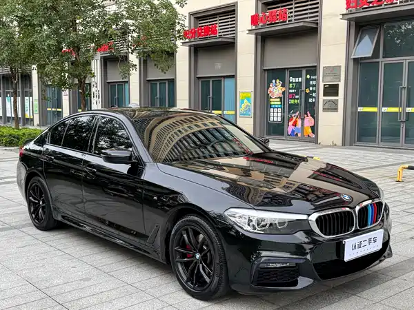 BMW 5 Series 2019
