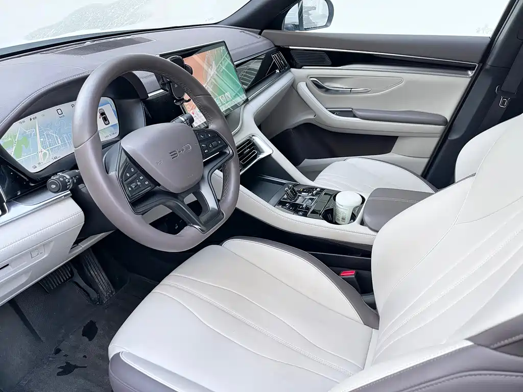 BYD PLUS New Energy 2025 — фото 10