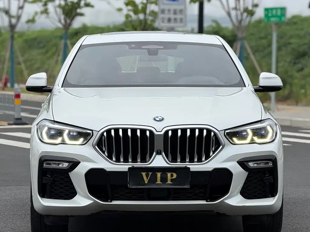 BMW X6 2020 — фото 11
