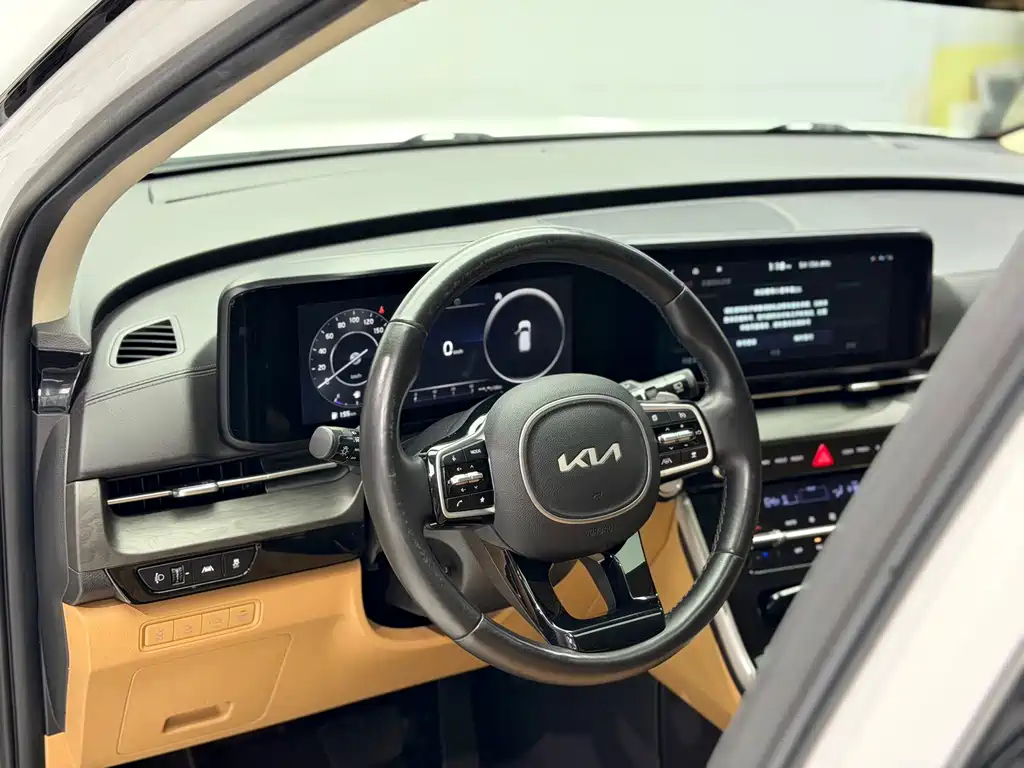 Kia Carnival 2023 — фото 12