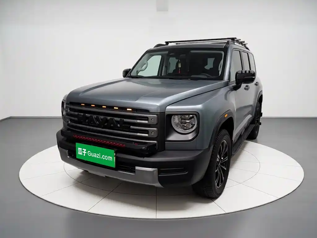 Haval Menglong New Energy 2024