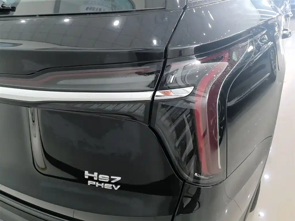 Hongqi HS7 PHEV 2024 — фото 8