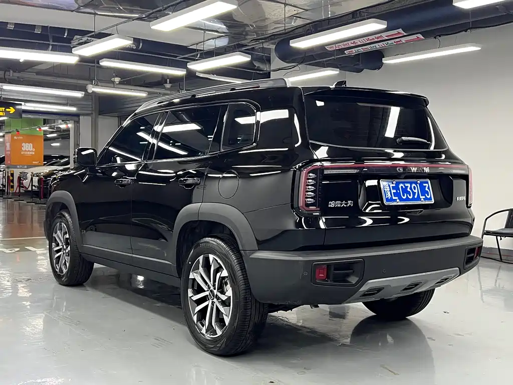 Haval Big Dog 2025 — фото 6