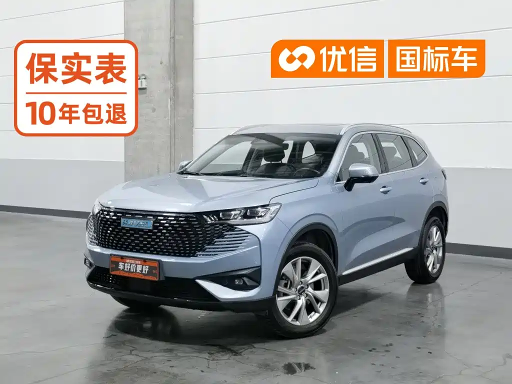 Haval H6 New Energy 2023 — фото 1