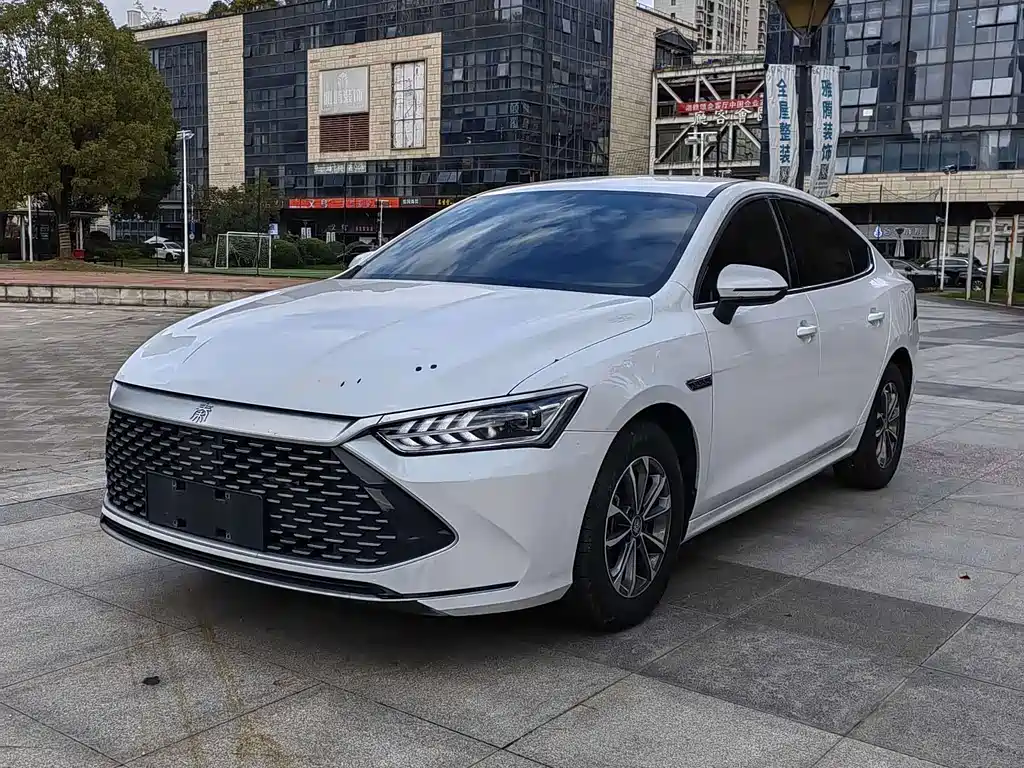 BYD Qin PLUS 2023 — фото 1