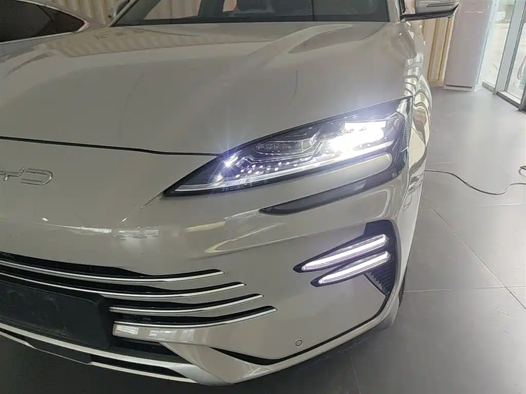 BYD PLUS New Energy 2024 — фото 24