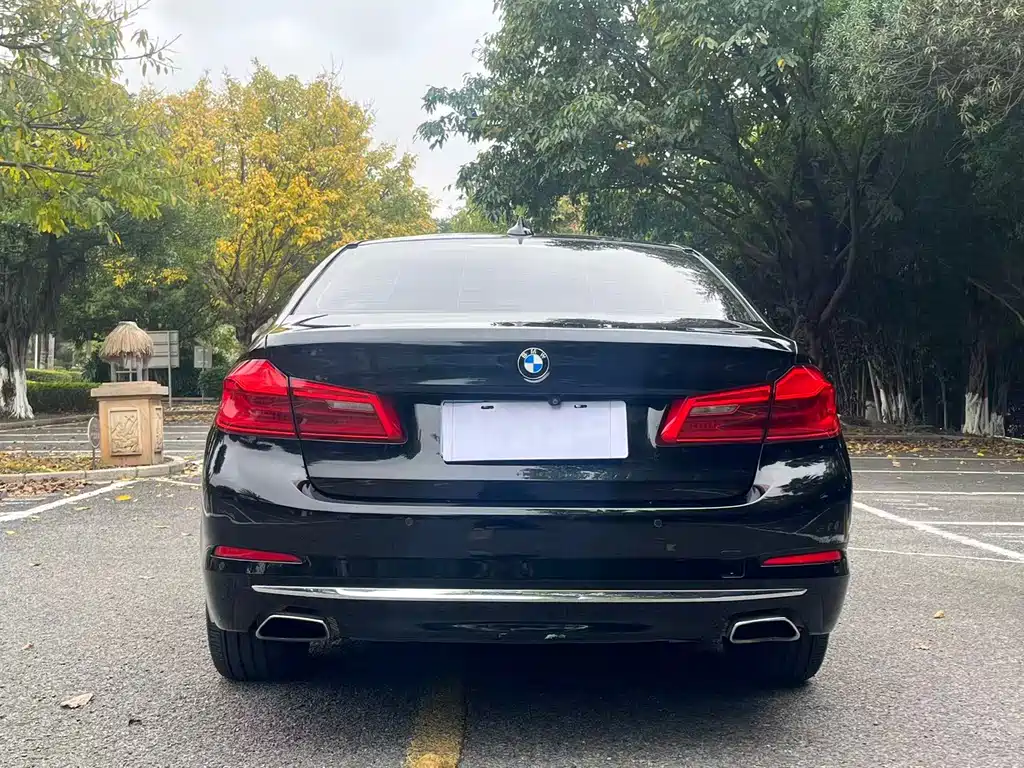 BMW 5 Series 2018 — фото 8
