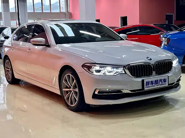 BMW 5 Series New Energy 2019