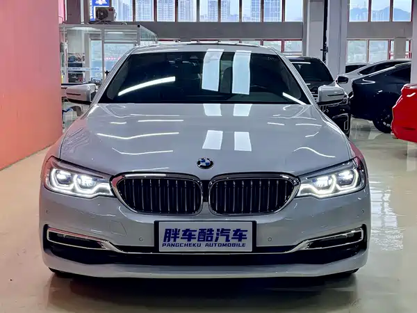 BMW 5 Series New Energy 2019