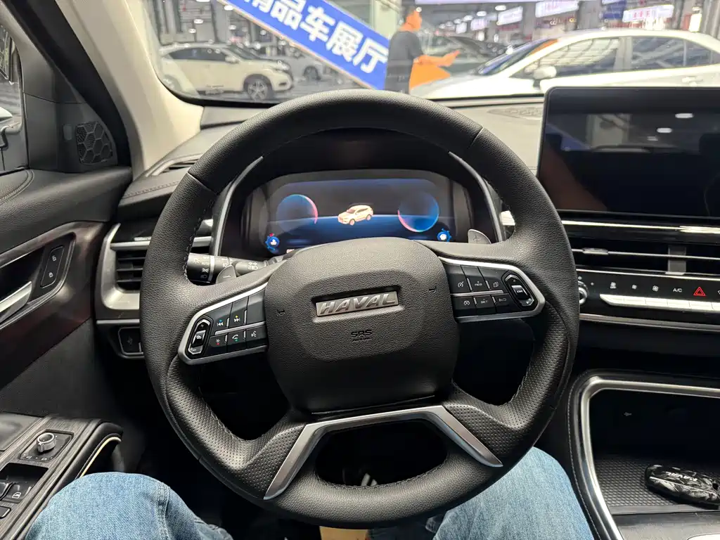 Haval H6 2023 — фото 14