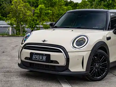 MINI MINI 2021