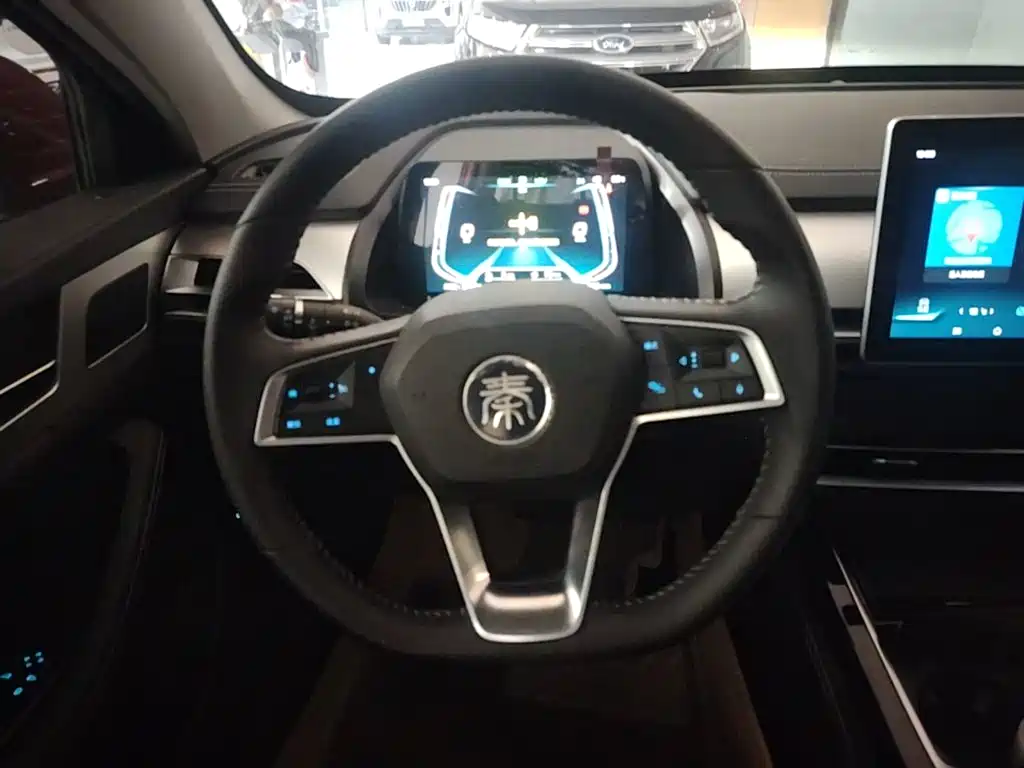 BYD Qin Pro New Energy 2020 — фото 11