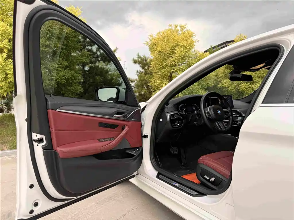 BMW 5 Series New Energy 2021