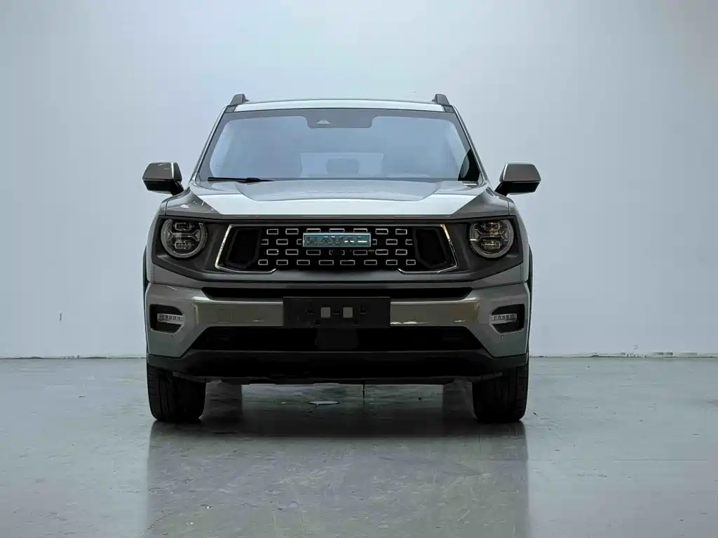 Haval Big Dog PLUS New Energy 2024 — фото 2