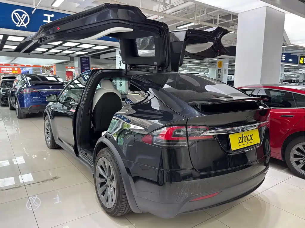 Tesla Model X 2020 — фото 6