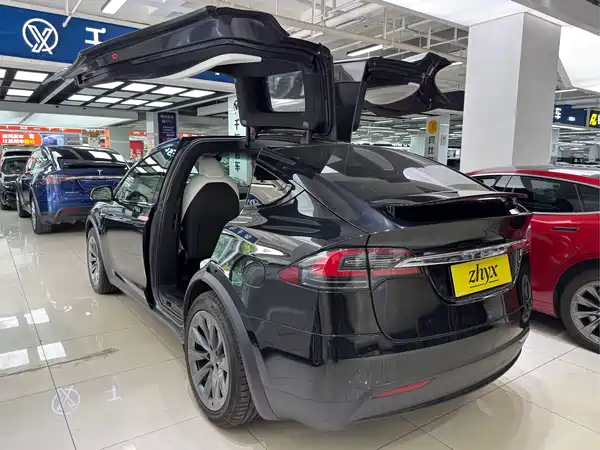 Tesla Model X 2020