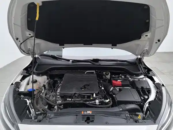 Ford Focus 2022