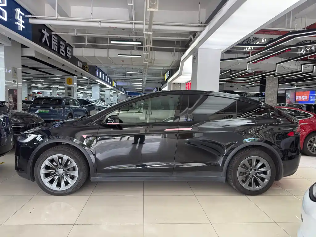 Tesla Model X 2020 — фото 13