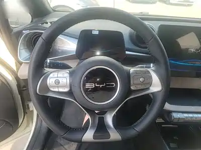 BYD Dolphin 2024