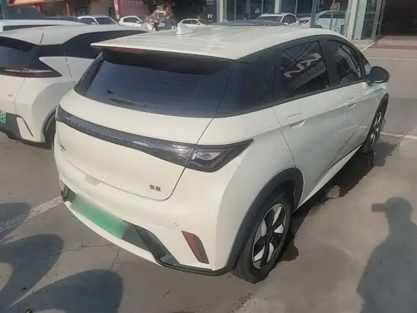 BYD Dolphin 2024