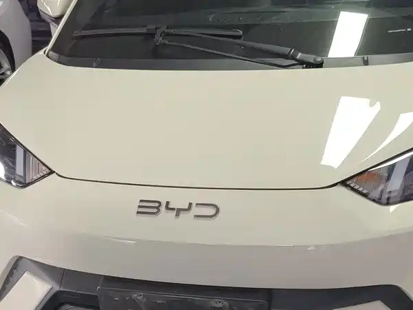 BYD Seagull 2025