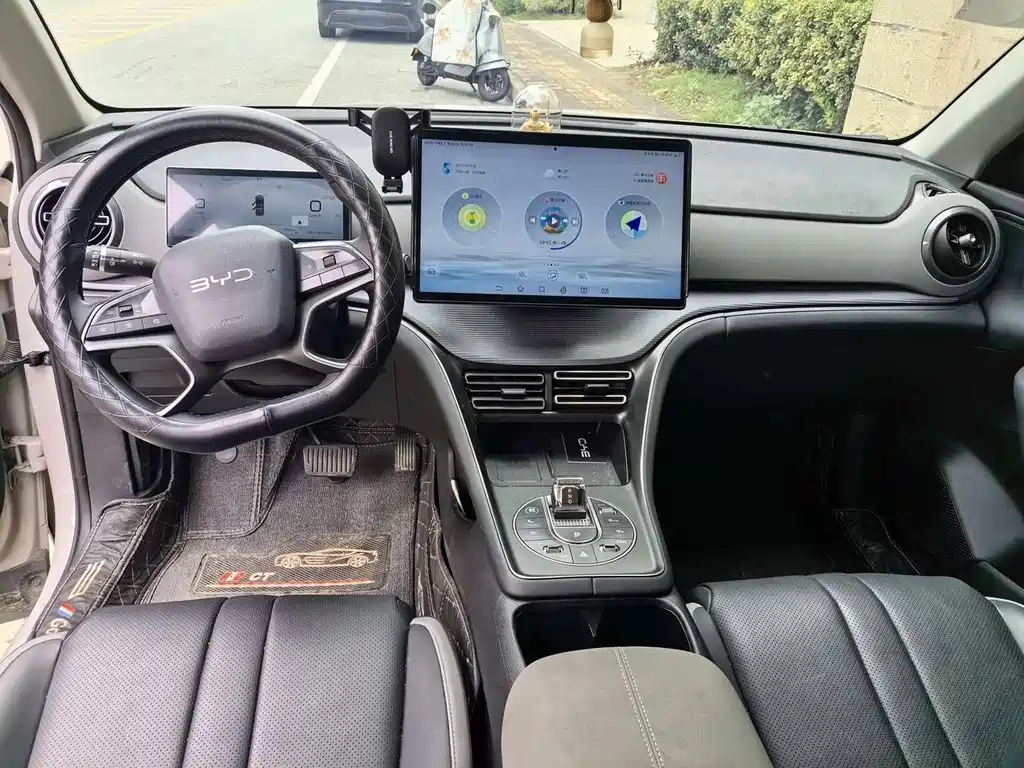BYD Sealion 05 DM-i 2025 — фото 7