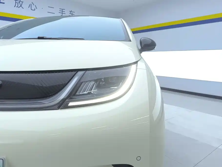 BYD Dolphin 2024