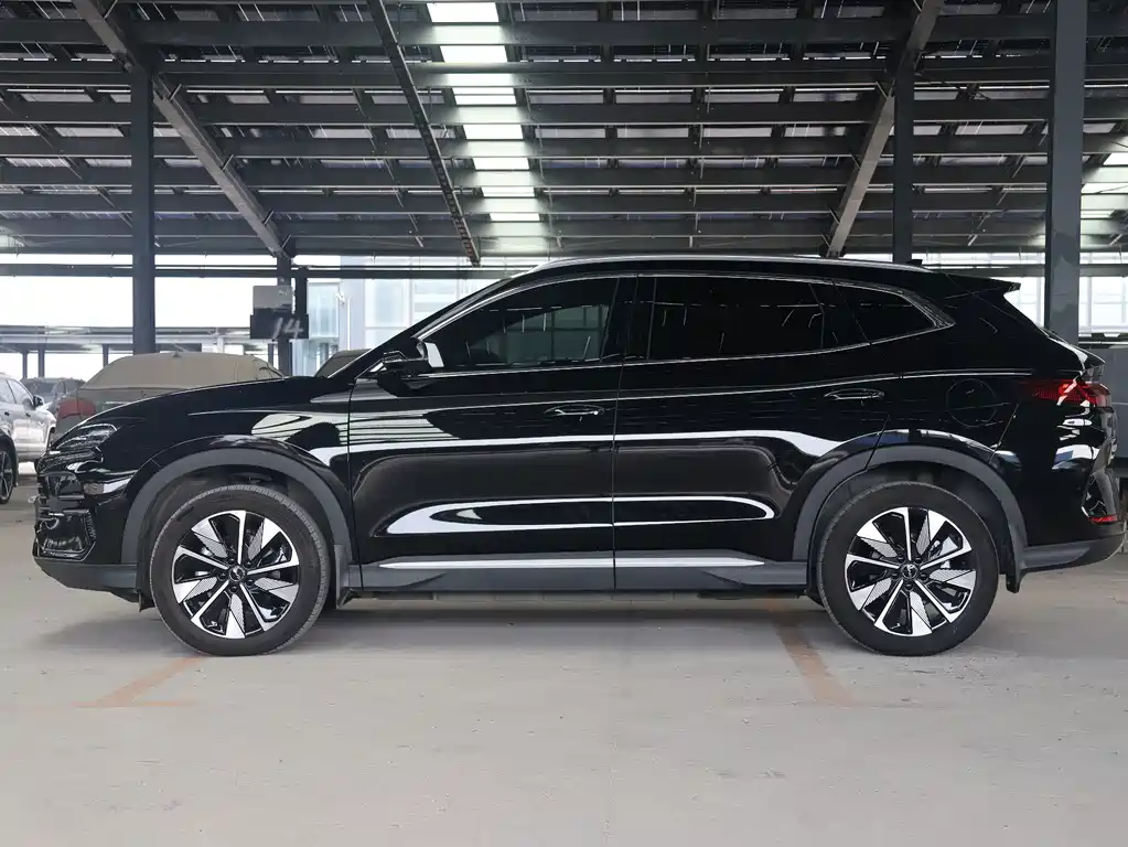 BYD Song PLUS New Energy 2025 — фото 8
