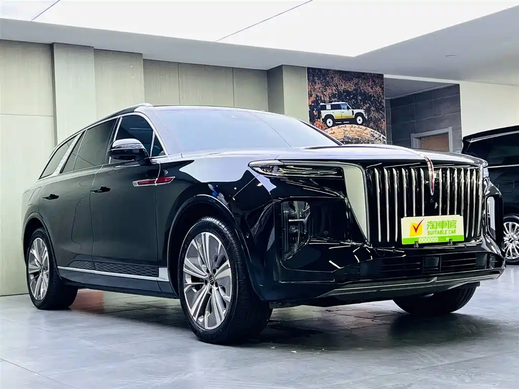 Hongqi E-HS9 2023 — фото 3