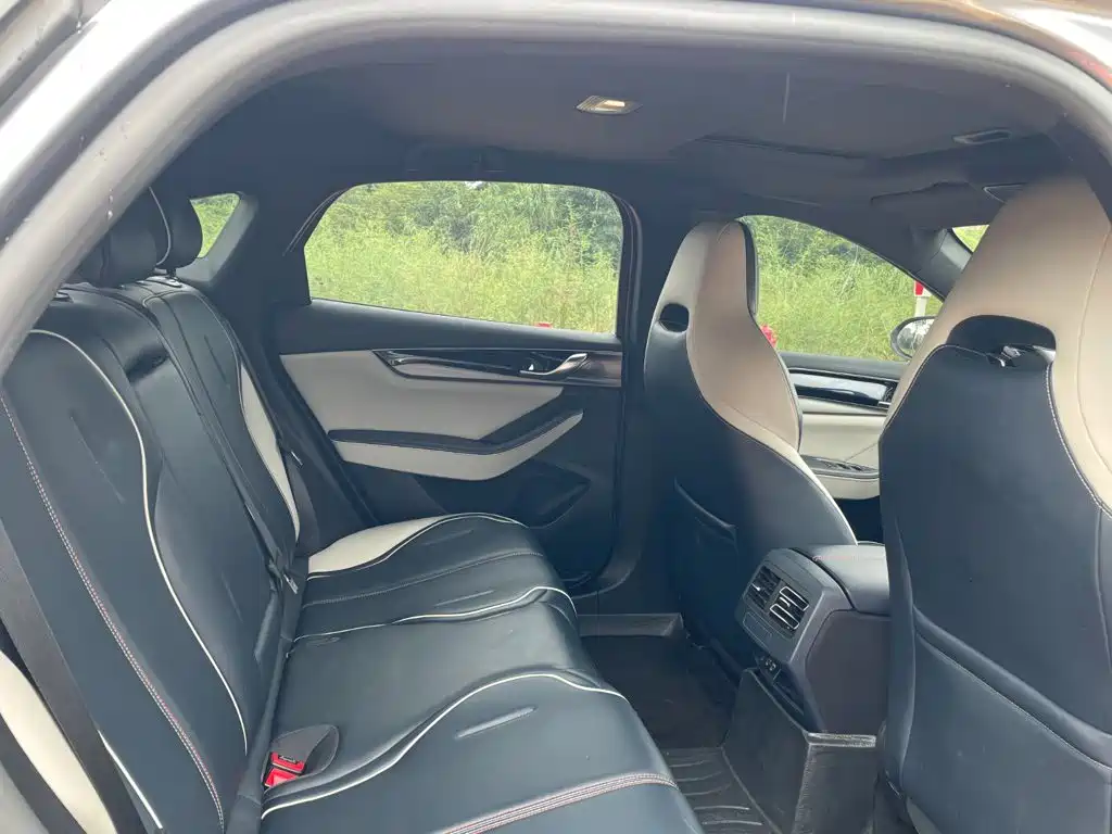 BYD Qin PLUS 2021