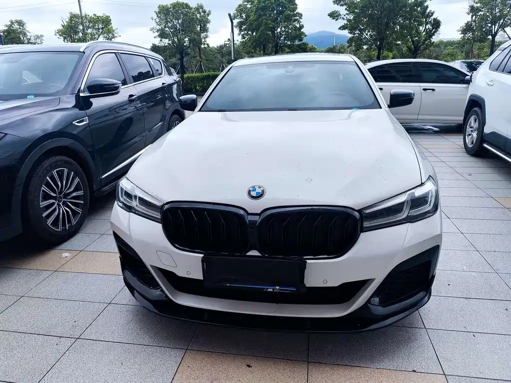 BMW 5 Series 2021