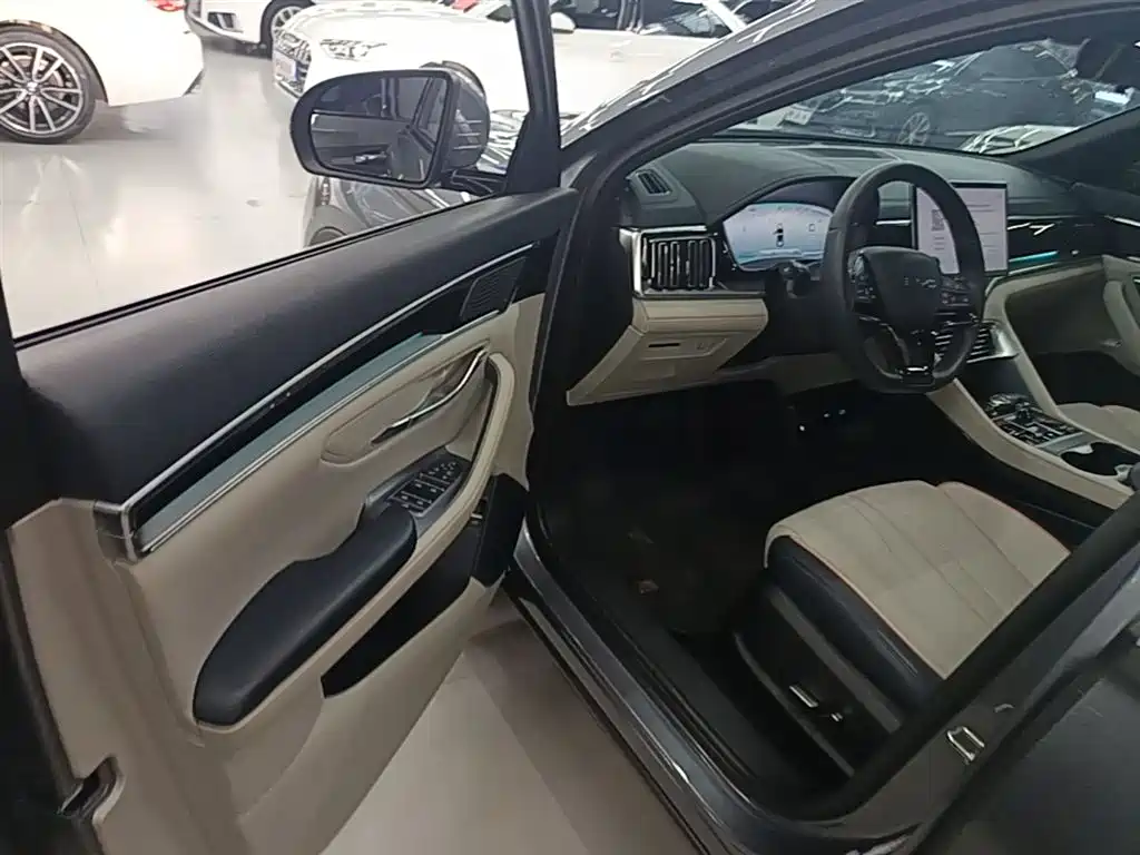 BYD PLUS New Energy 2024 — фото 16