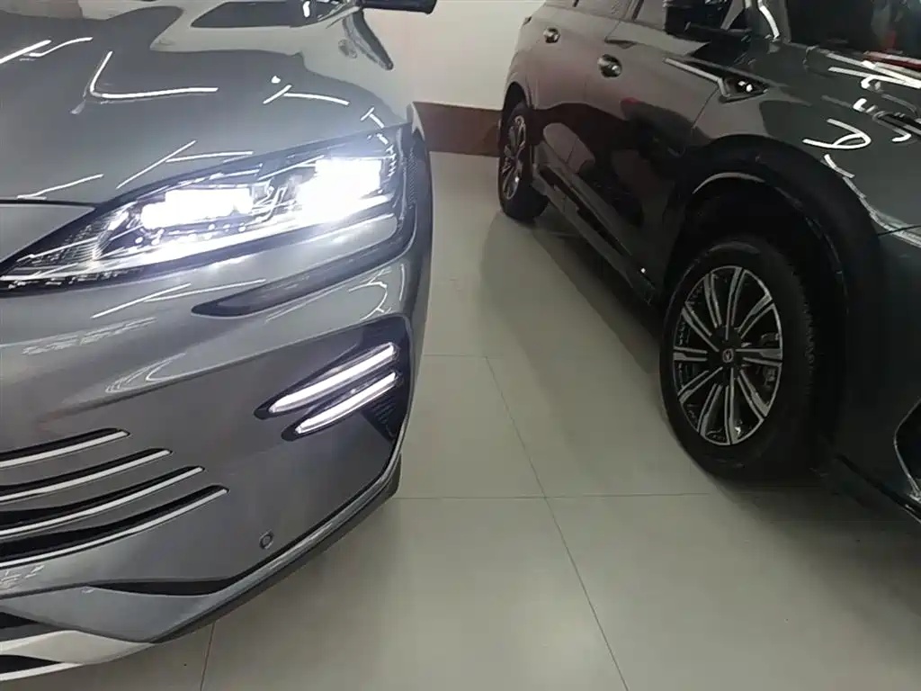 BYD PLUS New Energy 2024 — фото 24