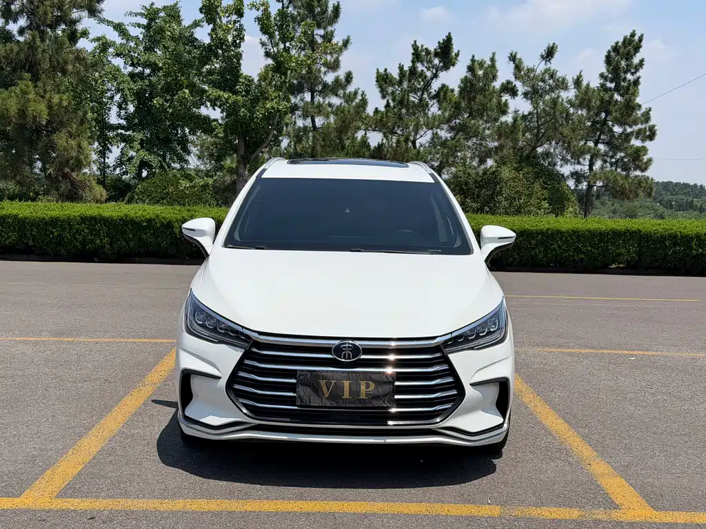 BYD MAX 2022