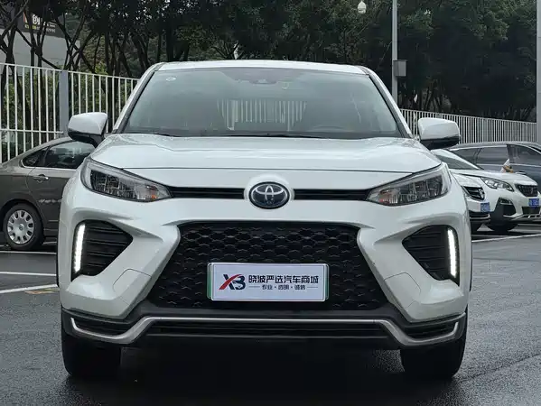 Toyota Weilanda New Energy 2021