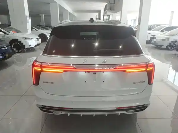Hongqi E-HS9 2023