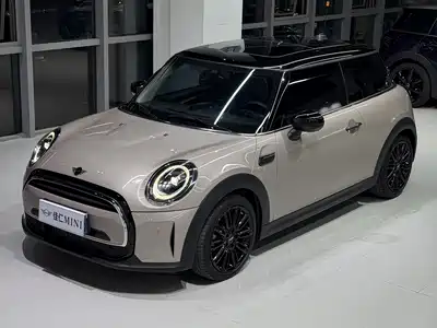 MINI MINI 2022