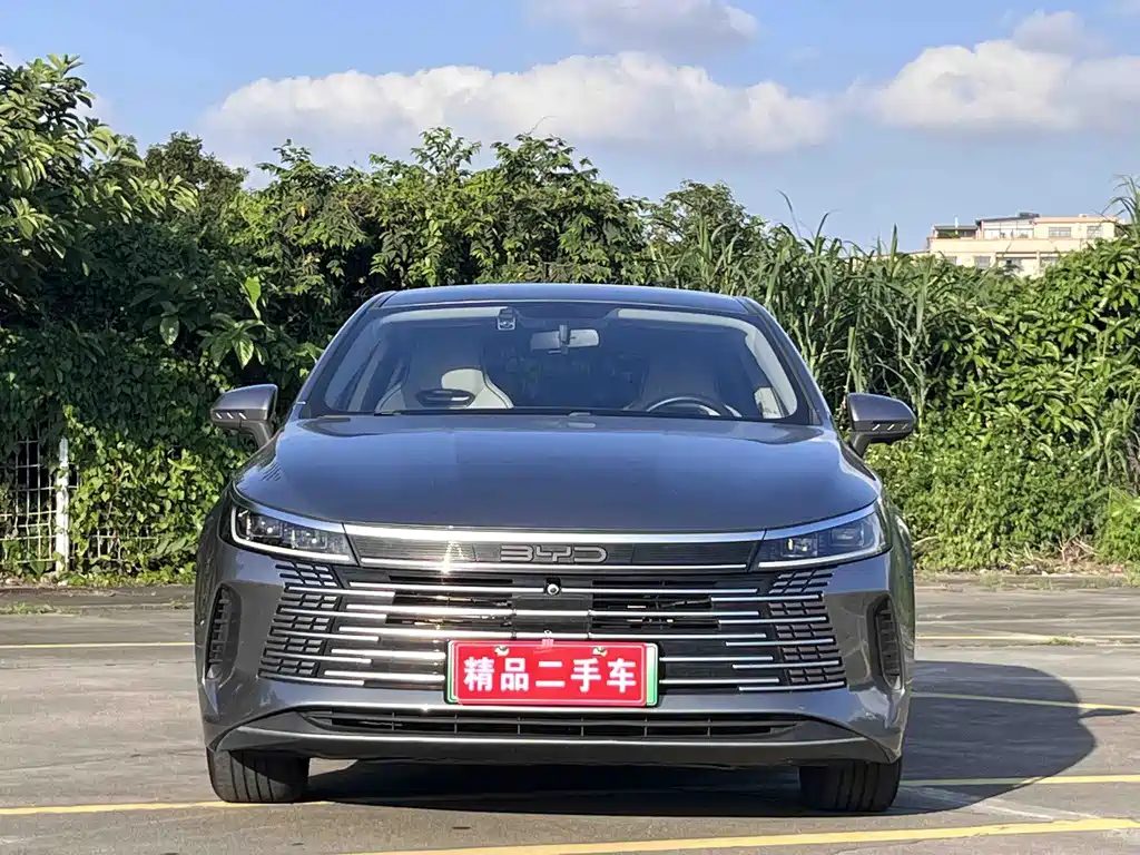 BYD Destroyer 05 2024 — фото 2