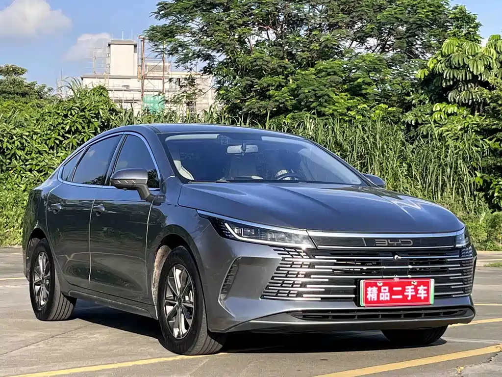 BYD Destroyer 05 2024 — фото 3