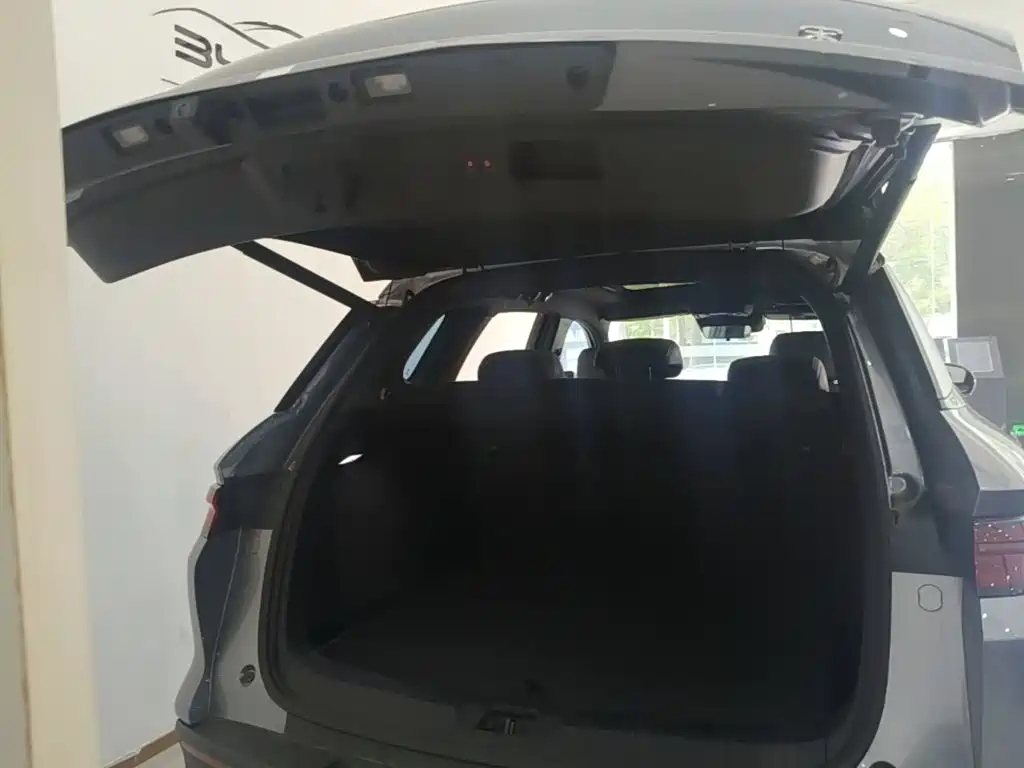 BYD Song Pro New Energy 2025 — фото 19