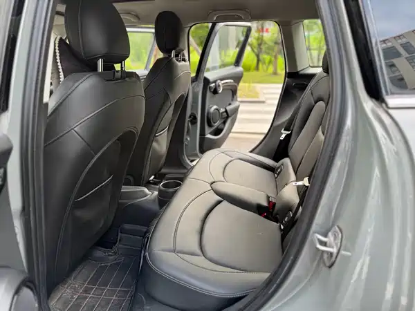 MINI MINI 2021