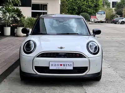 MINI MINI 2025