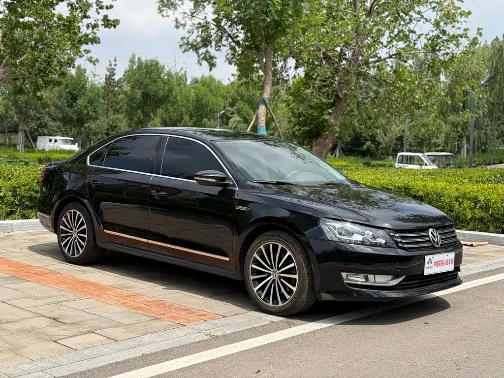 Volkswagen Passat 2014 — фото 3