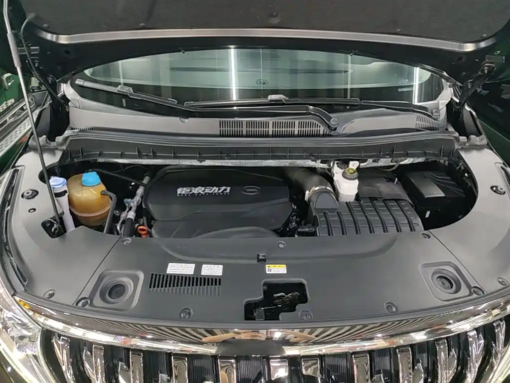 GAC Motor Trumpchi M8 2022 — фото 20