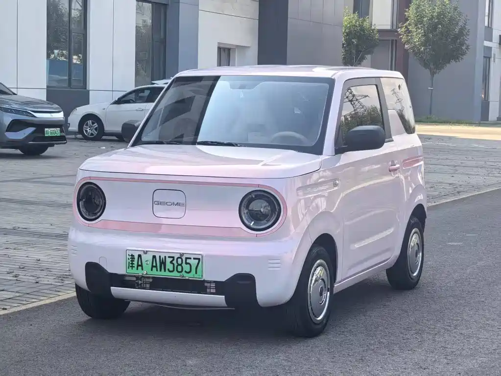 Geely Galaxy Panda 2024