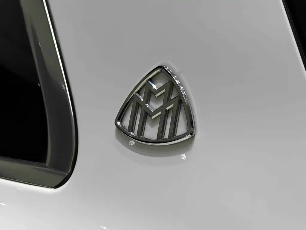 Mercedes-Benz Maybach GLS 2021 — фото 12