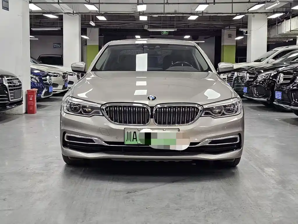 BMW 5 Series New Energy 2019 — фото 2
