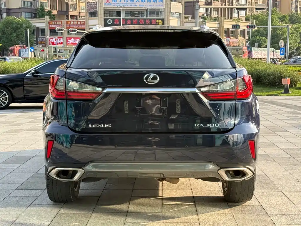 Lexus RX 2016 — фото 6