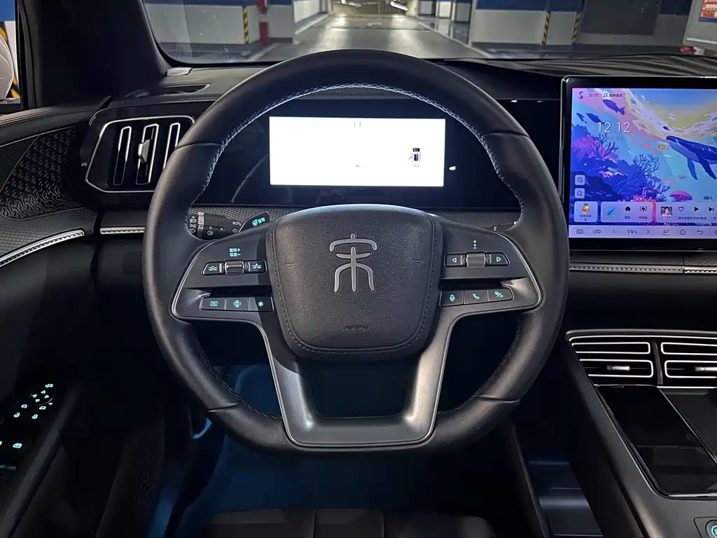BYD Song Pro New Energy 2025 — фото 10