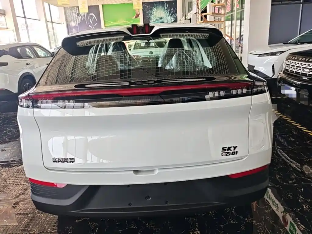 Dongfeng Aeolus SKY 2025